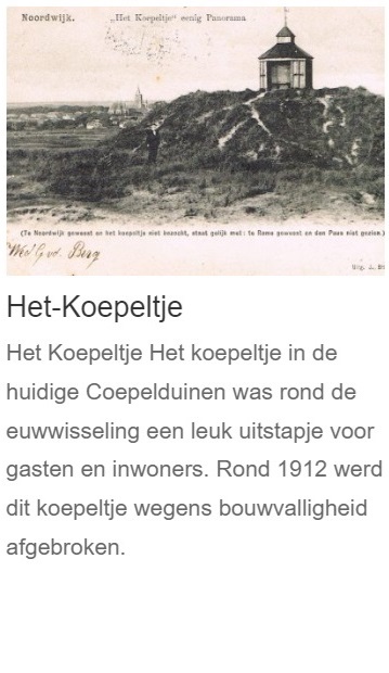 nw4_koepeltje.jpg