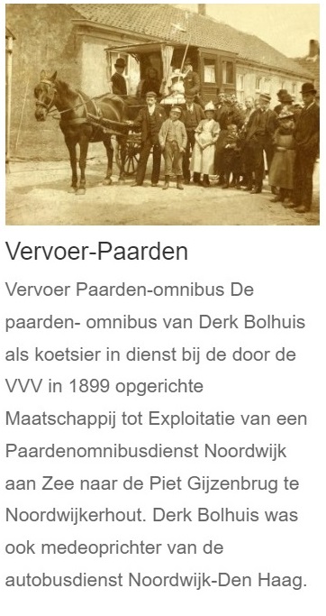 kv2_paarden.jpg