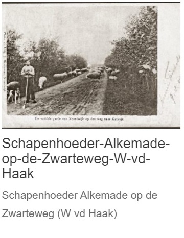 oa3_schapenhoeder.jpg